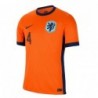 Virgil van Dijk Netherlands National Team 2024 Home Jersey - Orange