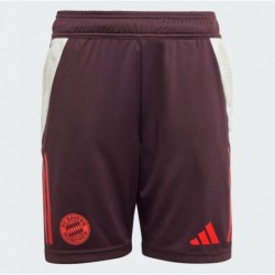 Kids Unisex Football
FC BAYERN TIRO 24 TRAINING SHORTS KIDS