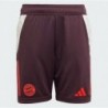 Kids Unisex Football
FC BAYERN TIRO 24 TRAINING SHORTS KIDS