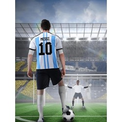 2022 Argentina Football Team Jersey 10 Messi Jersey-Shorts Men's Adult