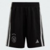 Kids Unisex Football
AJAX AMSTERDAM 23/24 THIRD MINI KIT