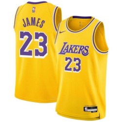 Youth Los Angeles Lakers 23 LeBron James Swingman Jersey