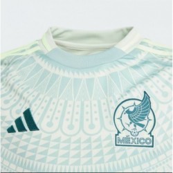 Kids Unisex Football
MEXICO 24 AWAY JERSEY KIDS