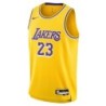 Youth Los Angeles Lakers 23 LeBron James Swingman Jersey