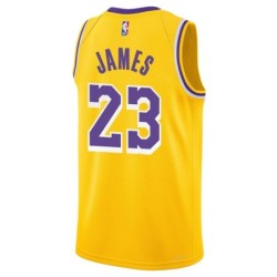 Youth Los Angeles Lakers 23 LeBron James Swingman Jersey