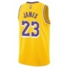 Youth Los Angeles Lakers 23 LeBron James Swingman Jersey