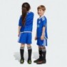 Kids Unisex Football
LEICESTER CITY FC 23/24 HOME MINI KIT