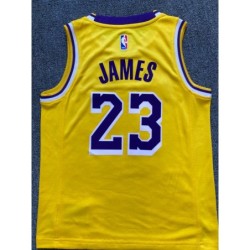 Youth Los Angeles Lakers 23 LeBron James Swingman Jersey