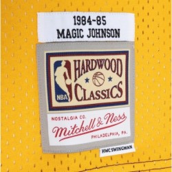 Magic Johnson Mitchell & Ness Purple/Gold Classics Split Swingman Jersey