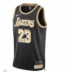 Unisex Los Angeles Lakers 23 LeBron James Swingman Jersey