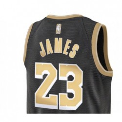 Unisex Los Angeles Lakers 23 LeBron James Swingman Jersey