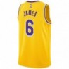 Los Angeles Lakers Icon Swingman 6 Jersey - Lebron James - Unisex