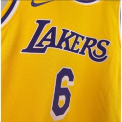 Los Angeles Lakers Icon Swingman 6 Jersey - Lebron James - Unisex