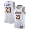 Los Angeles Lakers LeBron James White  Association Edition Jersey