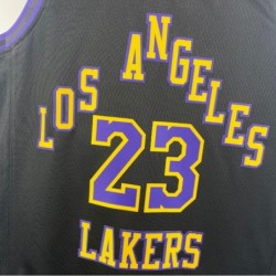 Lebron James Los Angeles Lakers City Edition 2023/24 Swingman Jersey