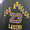 Lebron James Los Angeles Lakers City Edition 2023/24 Swingman Jersey